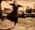 5 Film sulla felicità che fanno riflettere